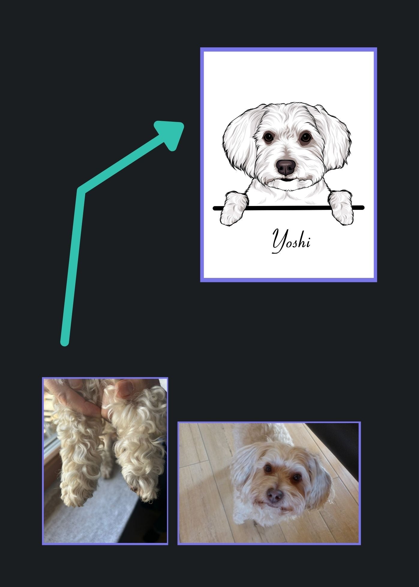 Vorher-Nachher-Bilder zur Erstellung eines personalisierten Hunde Posters, inklusive Originalfotos und dem fertigen Produkt.